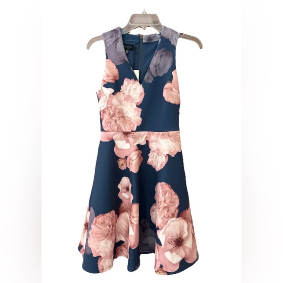 Ted Baker Dresses & Skirts - Ted Baker Pink and Blue V-Neck A-Line Sundress